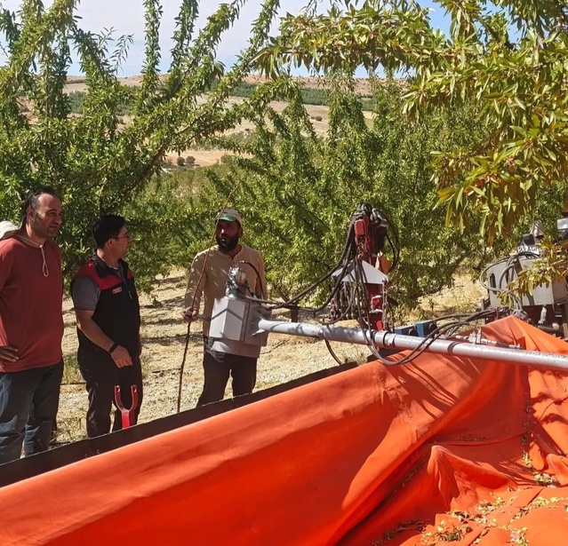 Ağın'da Tarım ve Orman ekipleri badem üreticilerine hasat ve muhafaza bilgisi verdi