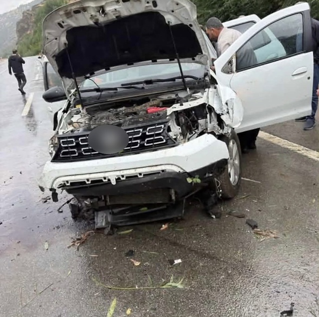 Bingöl-Erzurum kara yolunda otomobil tabelaya ve ağaca çarptı, 2 kişi yaralandı