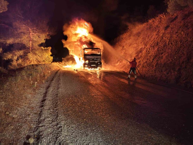 Havran'da seyir halindeki kamyon alev aldı, itfaiye ve orman ekipleri söndürdü