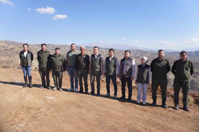 Kahramanmaraş Onikişubat'taki yanan ormana 6 farklı türde 1 milyon fidan dikilecek