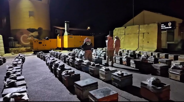 Hakkari Yüksekova'da arı kovanındaki peteklerde 91 kilo uyuşturucu ele geçirildi