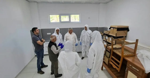 Aydın ve Muğla, kestane gal arısına karşı avcı böcek üretimini 2027'de artırmayı planlıyor