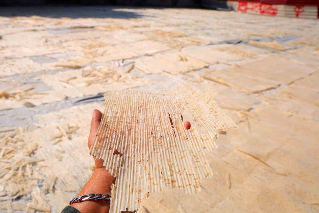 Kahramanmaraş'ta Maraş tarhanası üretim sezonu 3 bin 650 tonla kapandı