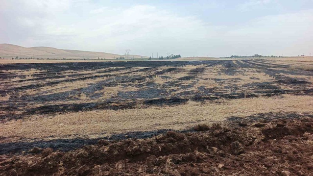 Siirt Kurtalan'da anız ateşi büyümeden söndürüldü, yakana para cezası kesildi