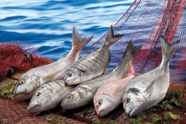 Muğla Eylül'de 146 milyon 800 bin 349 dolarlık ihracatla dış ticaret fazlası verdi