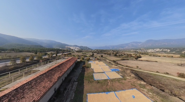 Sinop Boyabat'ta çeltik hasadı Erdal Çetinkaya ve ailesinin dayanışmasıyla tamamlandı