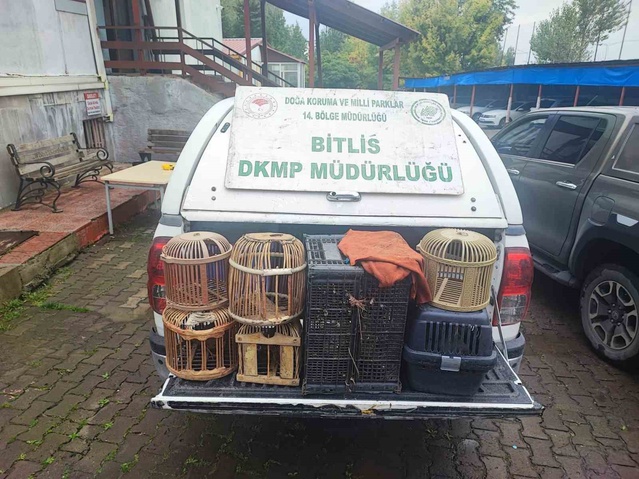 Bitlis Güroymak'ta çadırlarda kaçak avlanmış keklikler bulundu, doğaya salındı