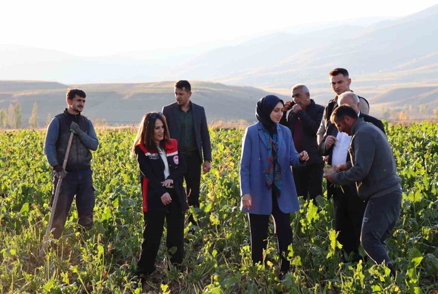 Tercan Kaymakamı Duman, çiftçileri ziyaret ederek tarımı değerlendirdi