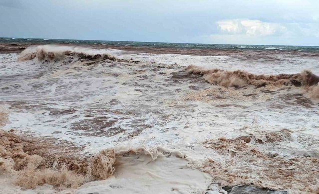 Kastamonu'da fırtına çok sayıda ağacı devirdi, rüzgar saatte 116 kilometreye ulaştı