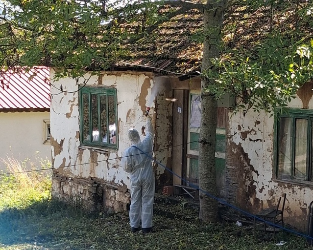 Düzce Kaynaşlı'da kahverengi kokarca için kışlak ilaçlamasını muhtarlık yürüttü