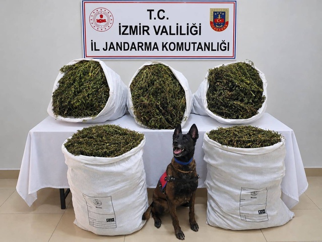 İzmir Tire'de jandarma aramasında 54 kilo 800 gram kubar esrar ele geçirildi