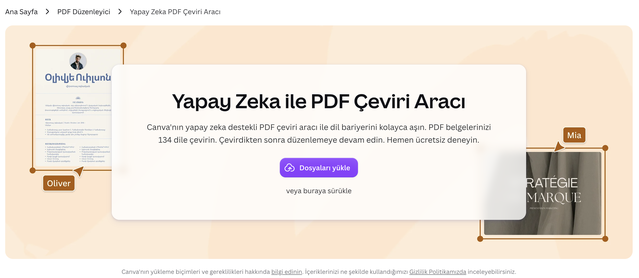 Ücretsiz Canva PDF Araçları: Birleştirme, Küçültme, Çeviri ve Word’e Dönüştürme
