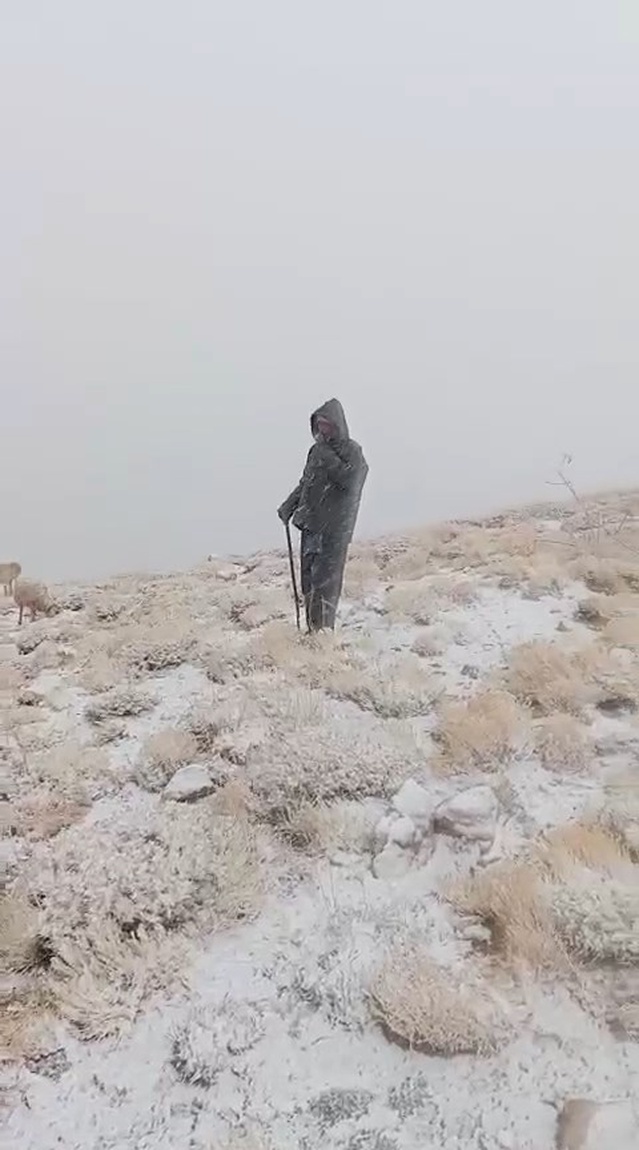 Tunceli Ovacık'ta Yalmanlar Yaylası, ekim başındaki kar yağışıyla beyaza büründü.