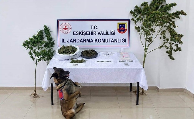 Eskişehir Tepebaşı'nda operasyonda 1,5 kilo esrar ele geçirildi, 1 şüpheli tutuklandı