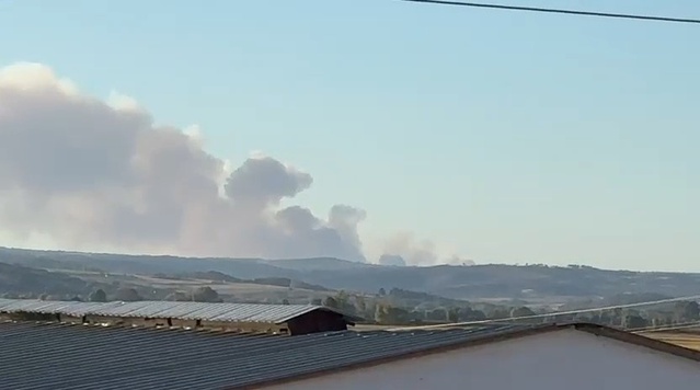 Evros'taki yangının dumanı ve alevleri Edirne Meriç'teki sınır köylerinden görüldü