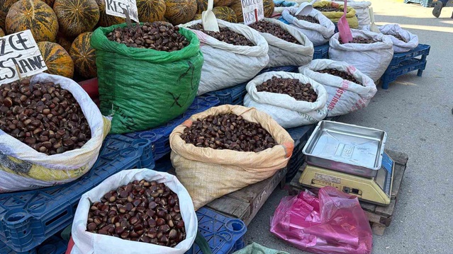 Düzce'den günlük gelen kestane Bolu'da 250 ile 400 lira arasında satılıyor