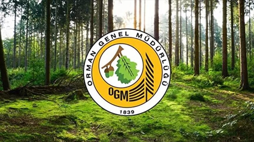 Resmi Gazete'de yayımlandı. OGM müfettiş yardımcısı alacak
