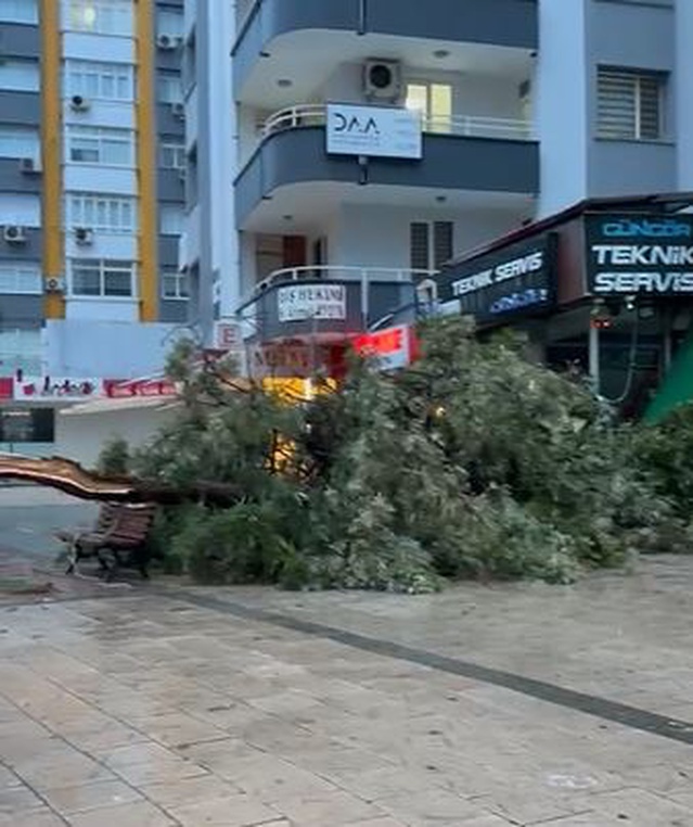 Adana'da sağanak ve fırtına hasara yol açtı