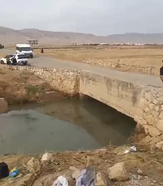 Mardin Nusaybin'de otomobil su kanalına uçtu, aynı aileden 4'ü çocuk 6 kişi öldü