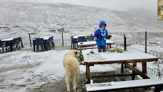 Rize'nin Çamlıhemşin ilçesinde sağanak yerini kara bıraktı, yaylalar beyaza büründü