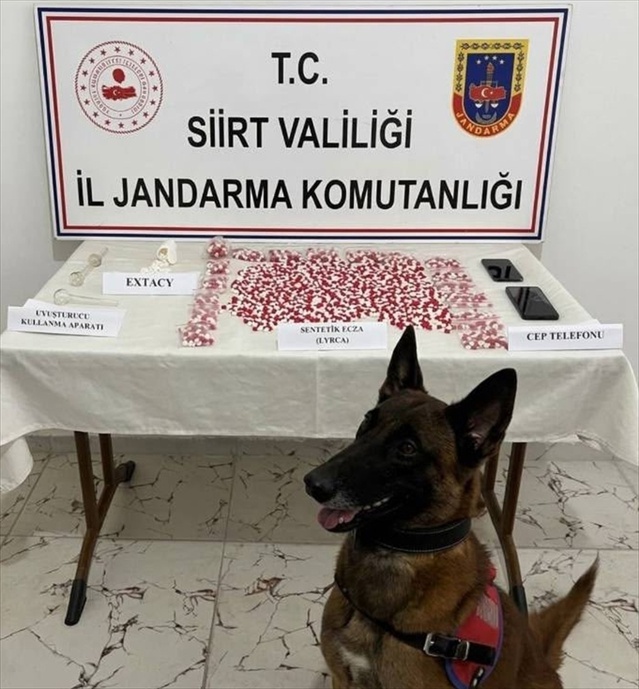 Siirt'te otobüste 2 bin 650 uyuşturucu hap bulan jandarma, 1 şüpheliyi gözaltına aldı