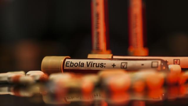 Nijeryadan Ebola riskine karşı uyarı