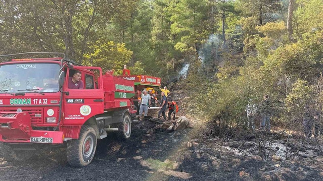 Çanakkale Çan'da ormana sıçrayan yangında 10 dönüm tarım ve 9 dönüm orman zarar gördü