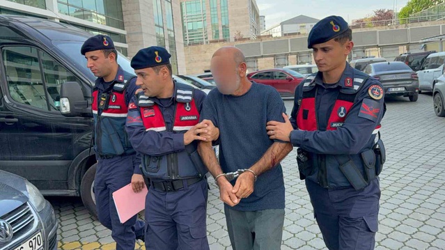 Samsun'da orman malzemesi yükleyen şüpheli suçüstü yakalanıp adliyeye sevk edildi