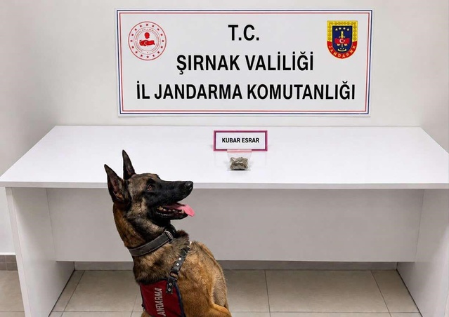 Şırnak'ta son bir haftada aranan 49 şahıs yakalandı, 12 kişi tutuklandı