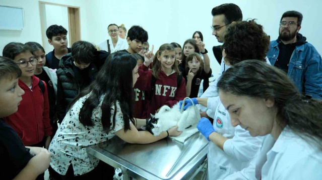 Necip Fazıl Kısakürek Ortaokulu öğrencileri BAÜN'de hayvan sağlığını öğrendi