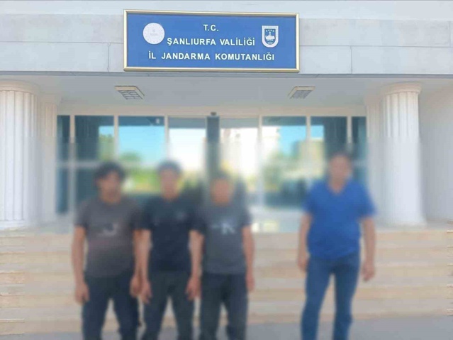 Şanlıurfa'da jandarma operasyonunda 9 göçmen kaçakçısı yakalandı