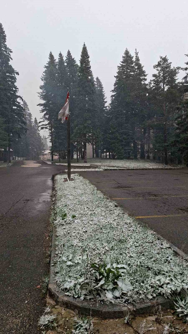 Ilgaz Dağı'nda kar yağışı başladı, Milli Park'ta gün boyu etkili olması bekleniyor