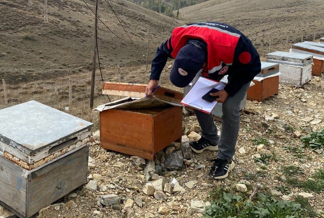 Bayburt'ta kovan desteklemesinde saha kontrolü sürüyor, son başvuru 30 Ekim 2026