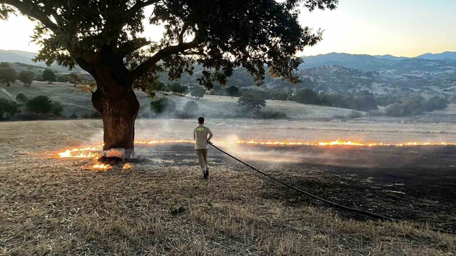 Kütahya Hisarcık'ta anız yangını yarım saatte söndürüldü, yaklaşık 1 hektar yandı