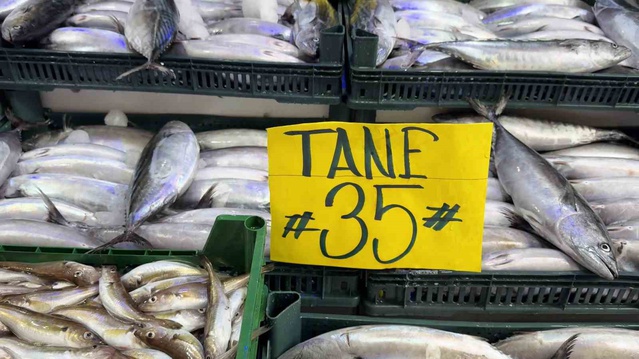 Karadeniz'de palamudun tanesi 35 TL'ye düşerken boş strafor kasa 100 TL'ye mal oluyor