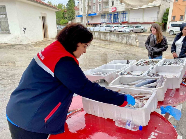 Afyonkarahisar Dazkırı'da balık satış noktalarında muhafaza şartları denetlendi