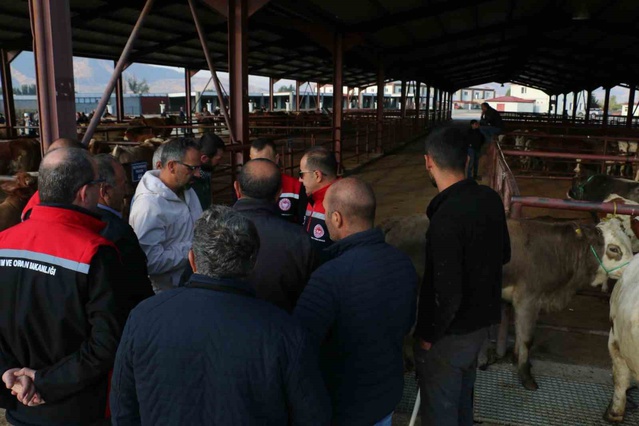 Erzincan'da sonbahar dönemi şap aşılama kampanyasında üreticilere uyarı yapıldı