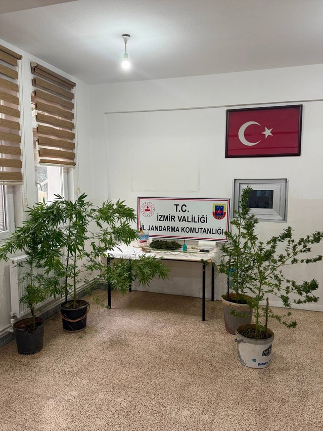 İzmir Kemalpaşa'da jandarma, evde 12 kök kenevir ve 280 gram esrar ele geçirdi