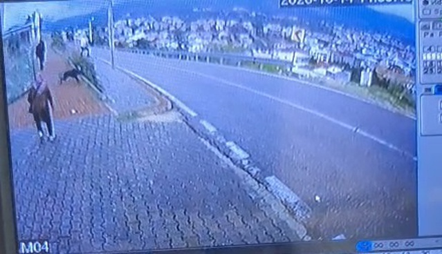 Bursa Orhangazi'de köpek saldırısından kaçan çocuk 2 metreden atlayıp bacağını kırdı