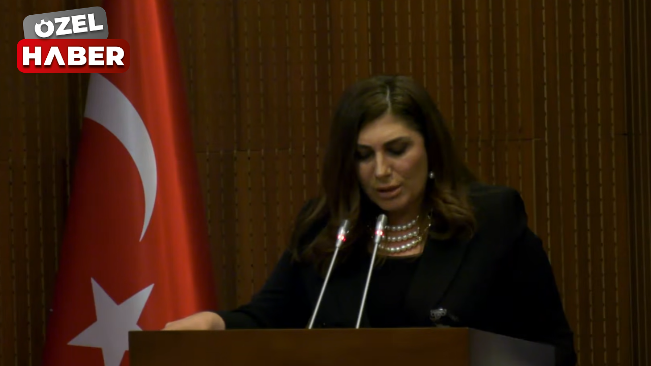 Yeniden Refah Partisi Çubuk Meclis Üyesi Şirin Doğan: Ankara kocaman bir köydür