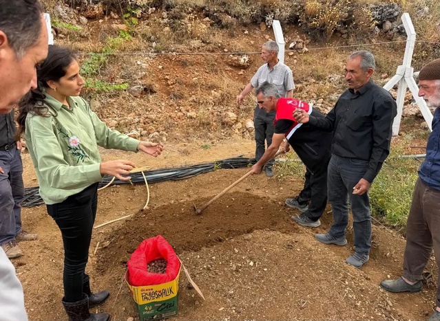 Adıyaman Çelikhan'da salep desteğiyle 10 üreticiye 90 kilogram salep yumrusu verildi