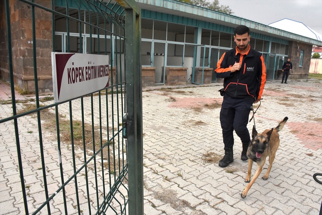 Van AFAD, Börte ve Lucy'yi 2027'deki canlı arama sınavına hazırlıyor