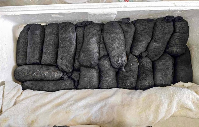 Gümrük ekipleri Kayseri'de 17,5 kilo canlı sülüğe el koydu