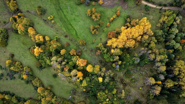Artvin Şavşat Yavuzköy'de sonbahar renkleri dronla kaydedildi, fotoğraflara yansıdı