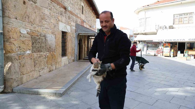 Kırşehir'de kepenge sıkışan kedi gece boyunca mahsur kaldı, itfaiye kurtardı