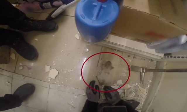 Diyarbakır'da demir profile sıkışan yavru kediyi itfaiye spiral ile keserek kurtardı