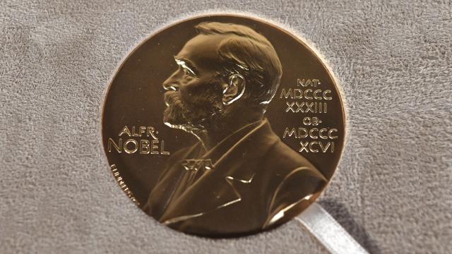 2026 Nobel BarÄ±ÅŸ Ã–dÃ¼lÃ¼, uluslararasÄ± hukuka yÃ¶nelik Ã§alÄ±ÅŸmalarÄ±ndan dolayÄ± Navi Pillay'a verildi