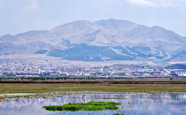 Erzurum'un petrol geçmişine ışık tutan belge: 1941'de Palandöken için İngiliz jeologa onay