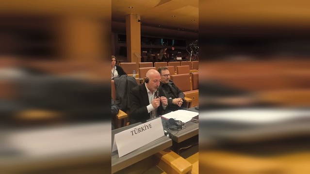Öztunç, AGİTPA'da Türk askerini savunarak Filistin benzerliği kurdu