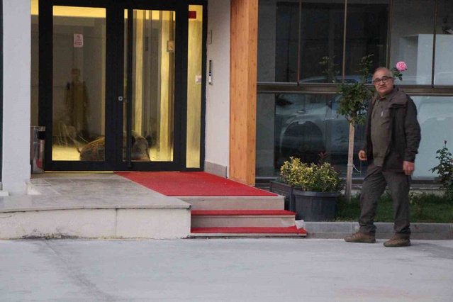 Amasya'da binaya giren yaban domuzu polisin silahla vurmasıyla etkisiz hale getirildi